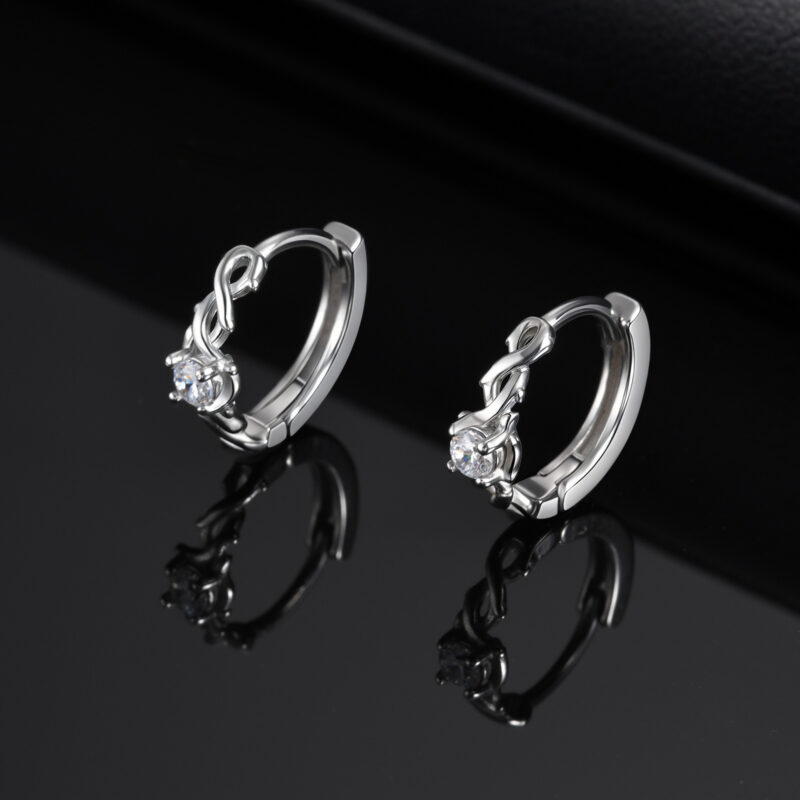 Men’s Stainless Steel Hoop Earrings – Thorn Zircon Hip Hop Style